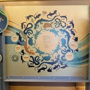 Killen's Pond Nature Center - Herps are all around us