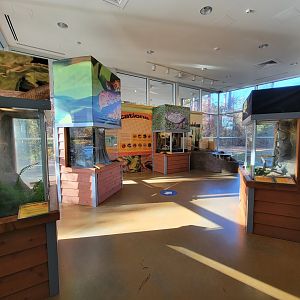 Killen's Pond Nature Center - Exhibit room