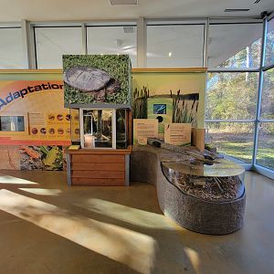 Killen's Pond Nature Center - Adaptations / Hidden Herps / Disappearing Habitat