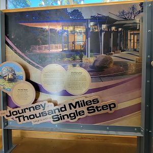 Killen's Pond Nature Center - The Journey