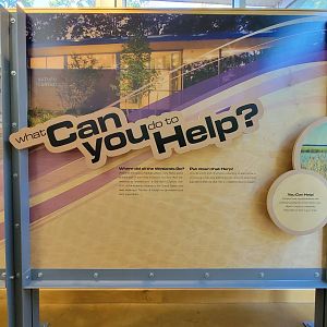 Killen's Pond Nature Center - How you can help herps