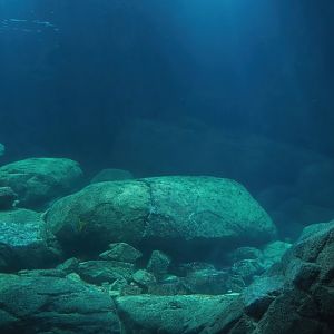 Part of the tunnel tank, 2023-10-07