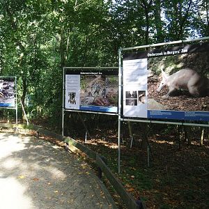 Research at Burgers' Zoo photo exhibition next to Safari access road, 2023-10-07