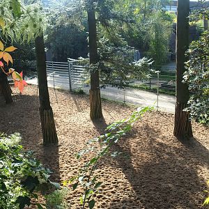 Safari separation paddock with Eastern white-bearded wildebeest, 2023-10-07