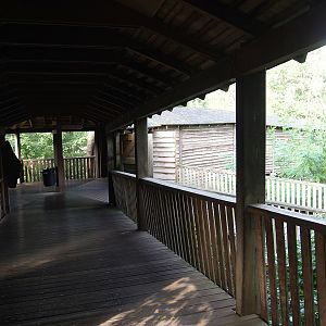 Safari viewing bridge, 2023-10-07