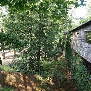 Safari viewing bridge and separation paddock with Eastern white-bearded wildebeest, 2023-10-07