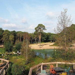 Safari - Large savanna paddock, Great white pelican exhibit and Safari restaurant terraces, 2023-10-07