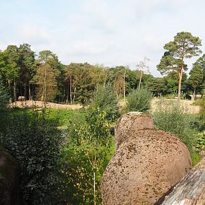 Safari - Savanna paddock, 2023-10-07
