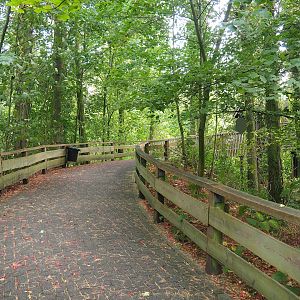 Access to Safari viewing bridge, 2023-10-07