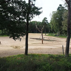 Safari - Savanna paddock, 2023-10-07