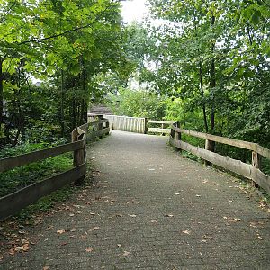 Access to Safari viewing bridge, 2023-10-07