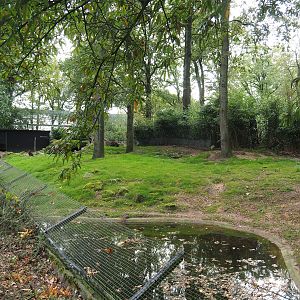 Swamp wallaby exhibit, 2023-10-07