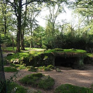 Swamp wallaby exhibit, 2023-10-07