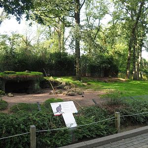 Swamp wallaby exhibit, 2023-10-07