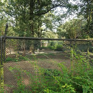 Swamp wallaby exhibit expanded with former flamingo exhibit, 2023-10-07