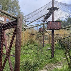 Nepalese red panda enclosure 141023