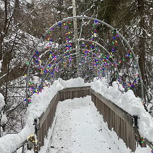 Snowy Path