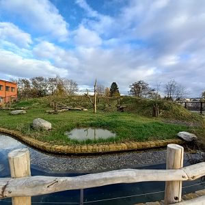 Spotted hyena enclosure