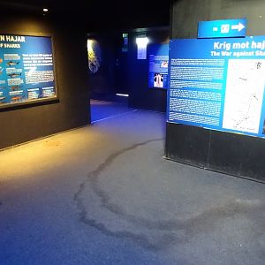 Fjärilshuset - Haga Ocean - Part of shark exhibition