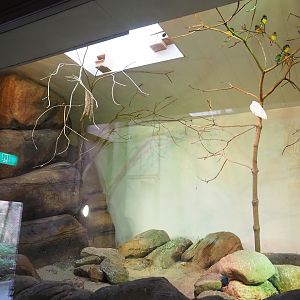 Gouldian finch aviary, 2023-10-07