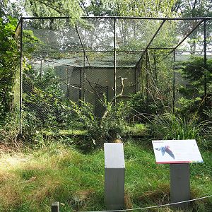 Galah aviary, 2023-10-07