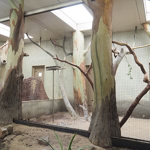 Galah indoor aviary, 2023-10-07