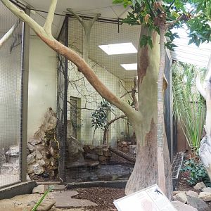 Galah indoor aviary, 2023-10-07