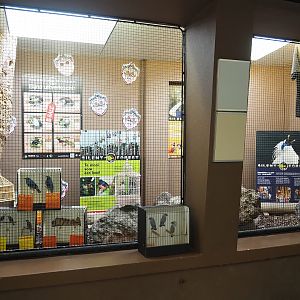 Silent Forest display in former aviary, 2023-10-07