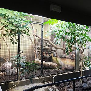 Kea indoor aviary, 2023-10-07