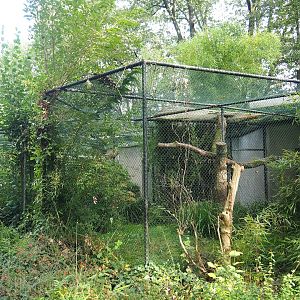 Black hornbill aviary, 2023-10-07