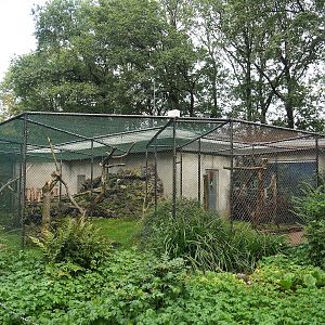 Kea aviary, 2023-10-07