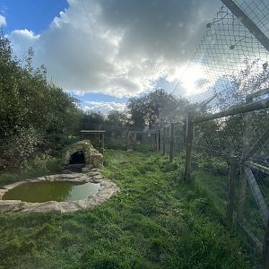 Wolverine enclosure 141023