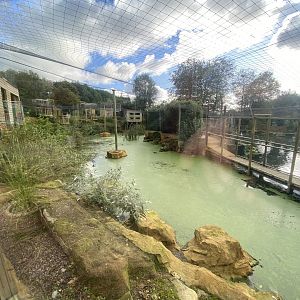 Non-pelican half of new Central Aviary 141023