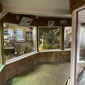 Reptile area 141023