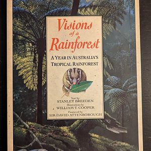 Visions of a Rainforest: A Year In Australia's Tropical Rainforest