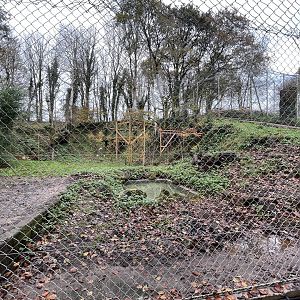 Front mesh view of Amur Leopard exhibit