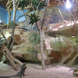 Second Room - Australia