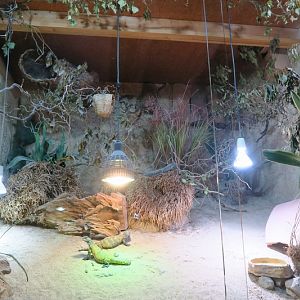 Second Room - Africa