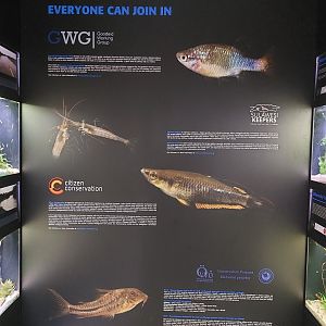 Fish Ark - Educational sign #2