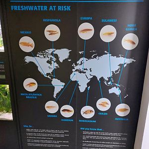 Fish Ark - Educational sign #3