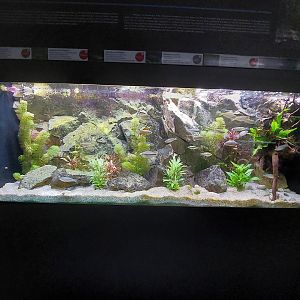 Fish Ark - Australia