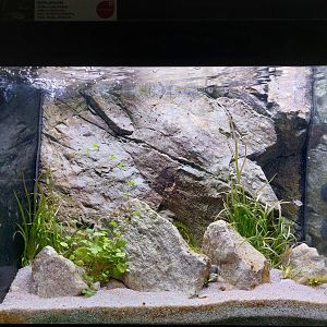 Fish Ark - Mexico - Splitfins