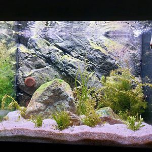 Fish Ark - Mexico - Northern Plateau