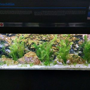 Fish Ark - Mexico - Rio Teuchitlán