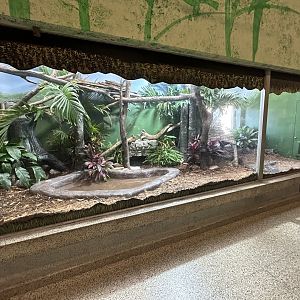 Expanded Reticulated Python Exhibit