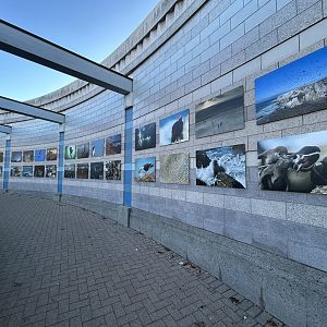 Punta San Juan Photo Instillation
