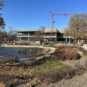 Gorilla Conservation Center Construction