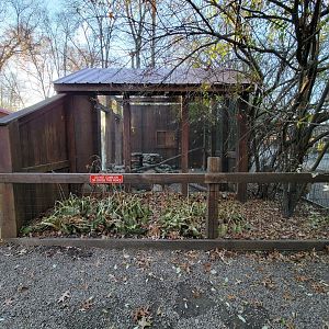 Living Treasures Moraine - Other side of fennec fox exhibit