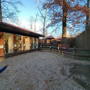 Living Treasures Moraine - Marmosets, macaws, tortoises