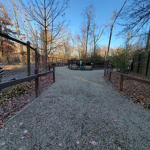 Living Treasures Moraine - Path, with muntjac in the middle of the loop